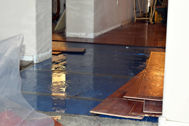 Professional Basement Flood Cleanup technician working in Howard Beach, NY